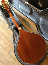 Used Gold Tone Octave Mandolin w/ Pick up and Hard Case