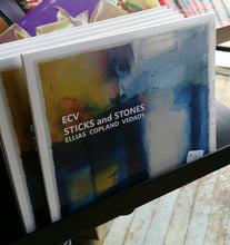 STICKS and STONES CD from ECV