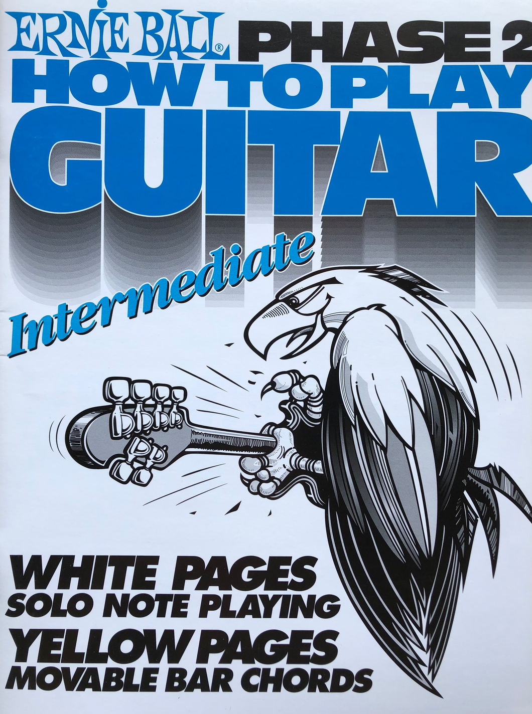Ernie Ball How To Play Guitar